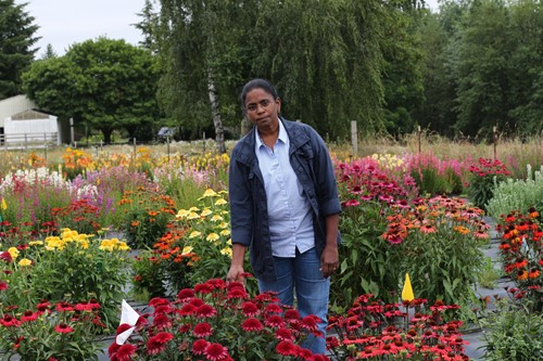 Harini Korlipara, Terra Nova Nurseries