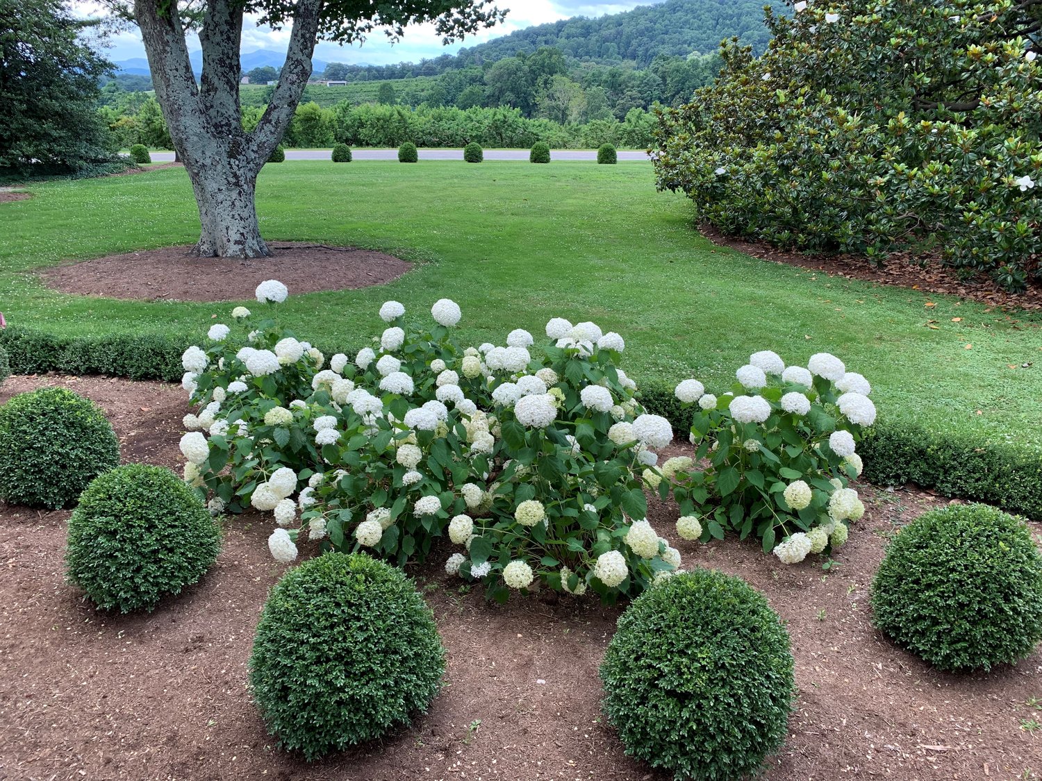 NewGen Independence photo credit SG