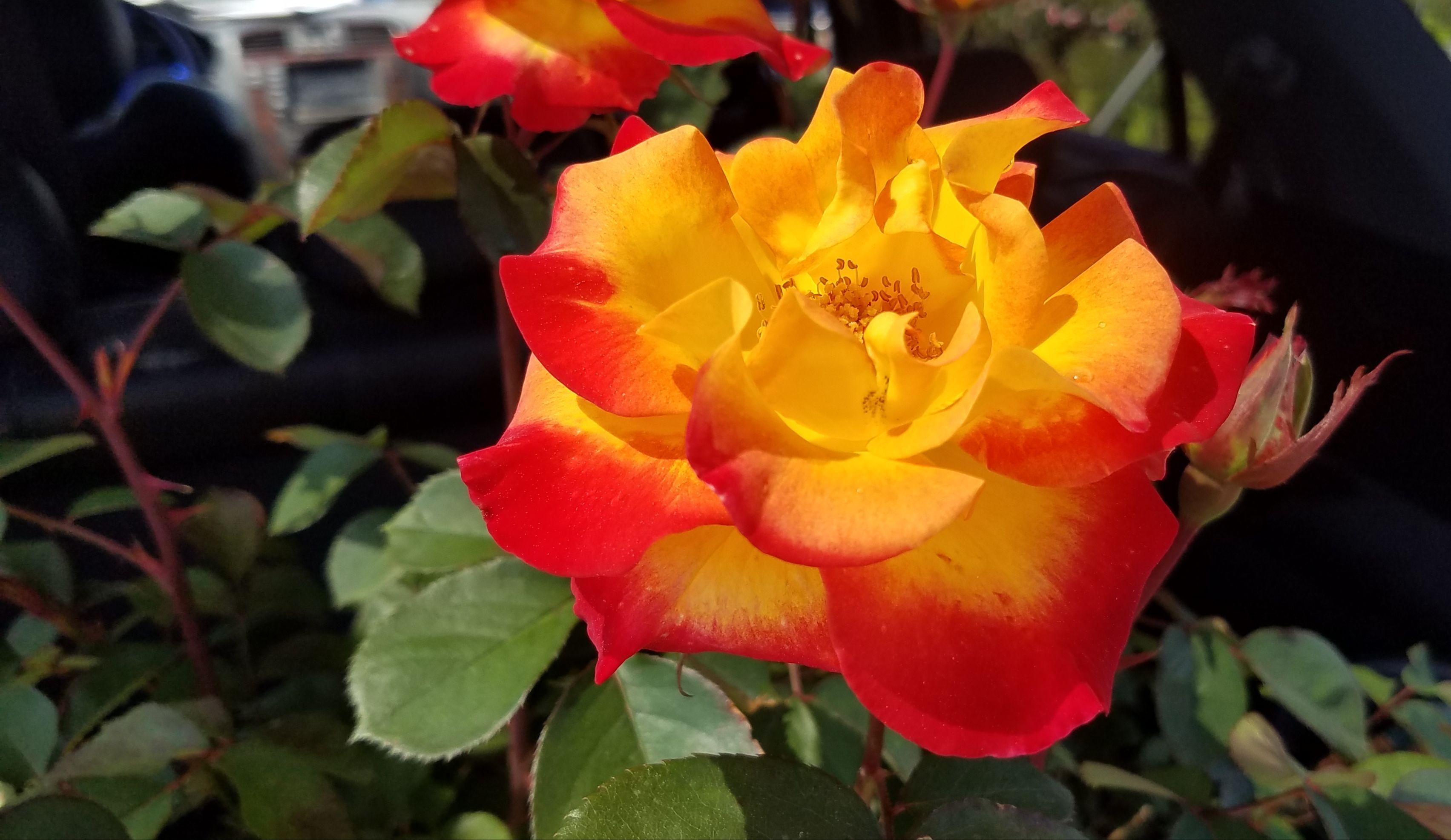 F0B03BFD-59AE-4E98-8B6D-05B15BC0694A